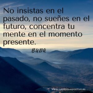 buda frases